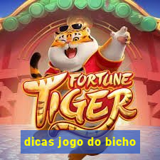 dicas jogo do bicho